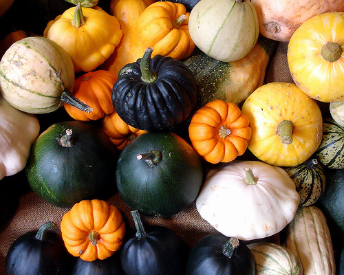 squash